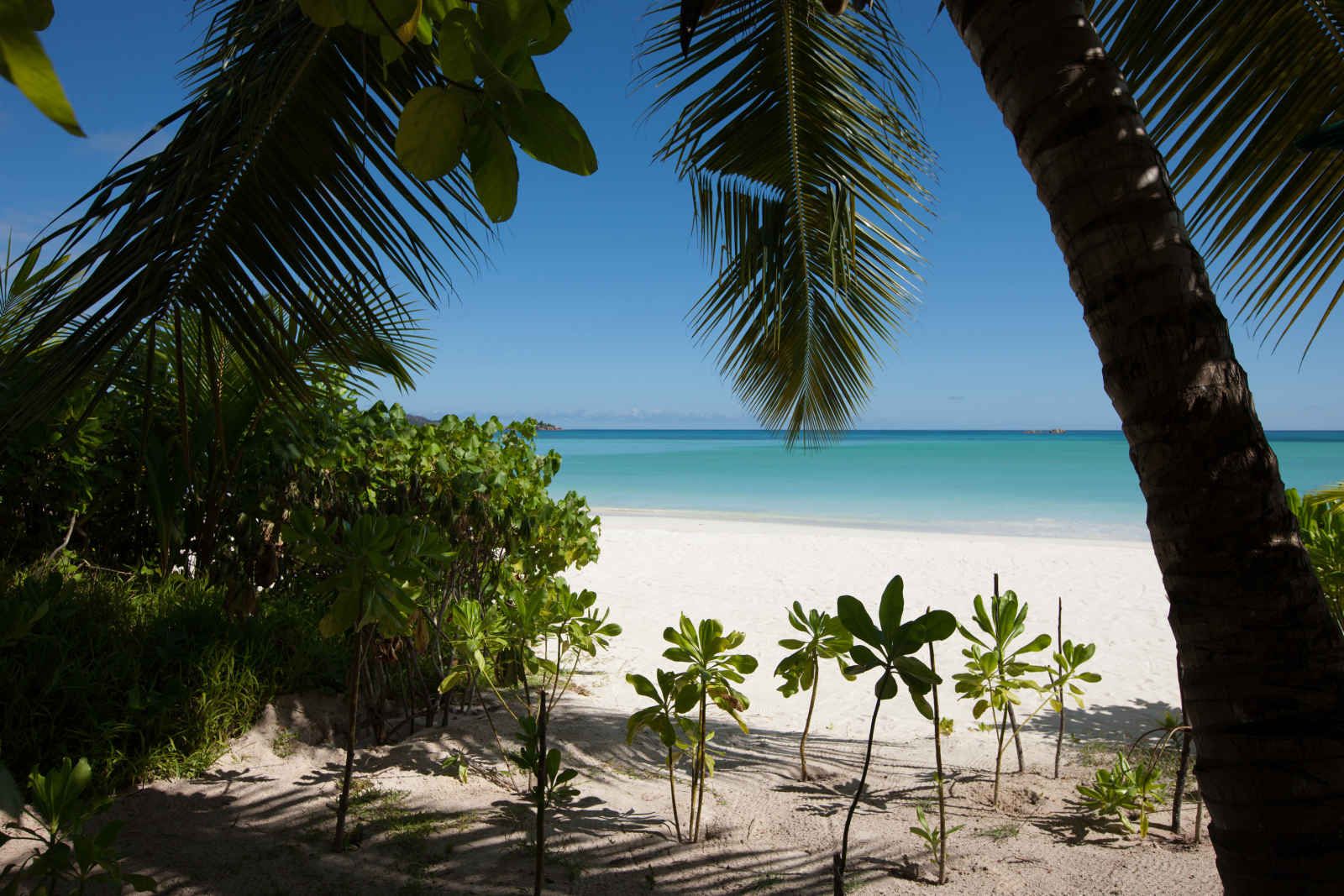 Acajou - 4* pas cher photo 4