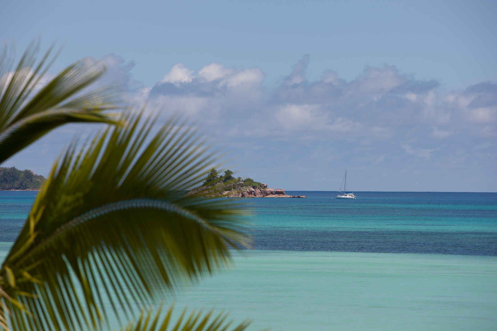 Acajou - 4* pas cher photo 5