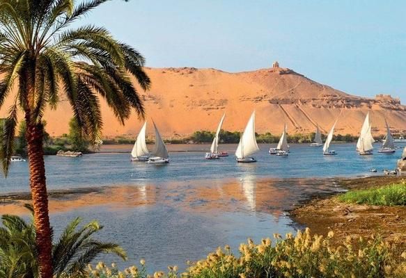 Fabuleuse Egypte & Sunrise Royal Makadi pas cher photo 3