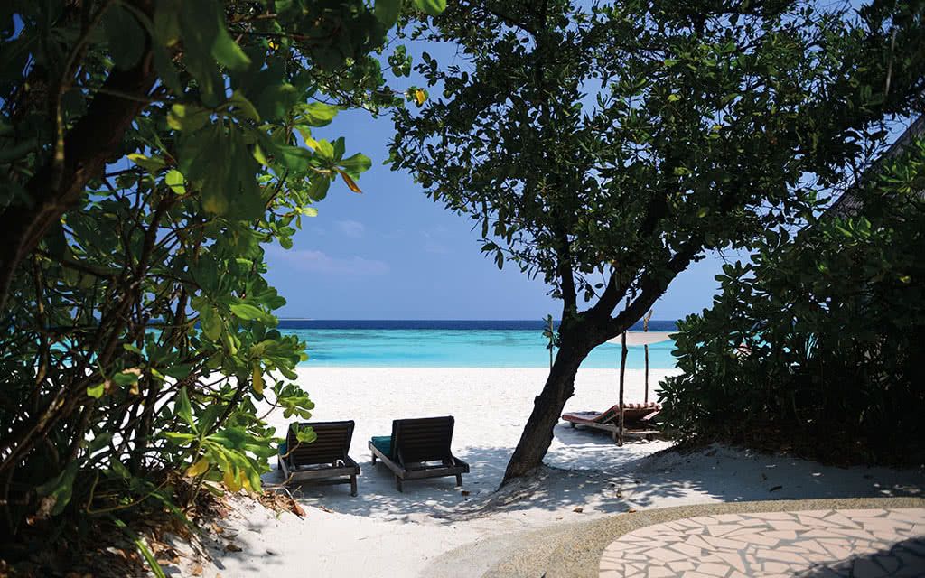 Hôtel Coco Palm Dhuni Kolhu 4* pas cher photo 9