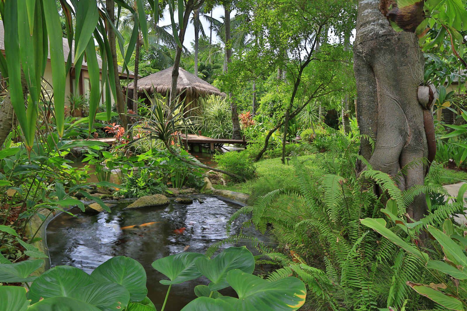 Anantara Rasananda Koh Phangan Villas - 5* pas cher photo 5