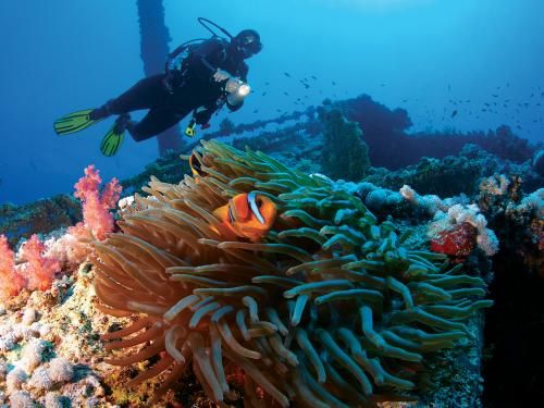 Hôtel Bluebay Beach Resort & Spa 5* pas cher photo 2