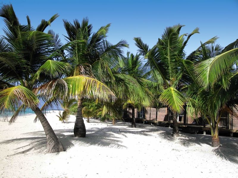 Kuredu Island Resort & Spa (- transfert inclus) - 4* pas cher photo 6