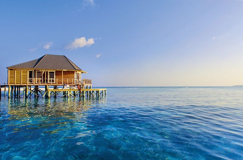 Kuredu Island Resort & Spa (- transfert inclus) - 4* pas cher photo 12