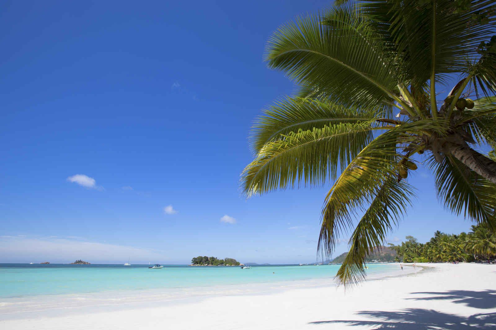 Paradise Sun - 4* pas cher photo 3
