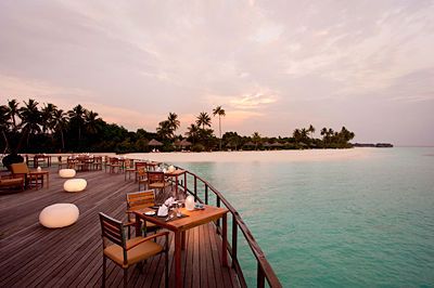 The Sun Siyam Iru Fushi Maldives 5* pas cher photo 5