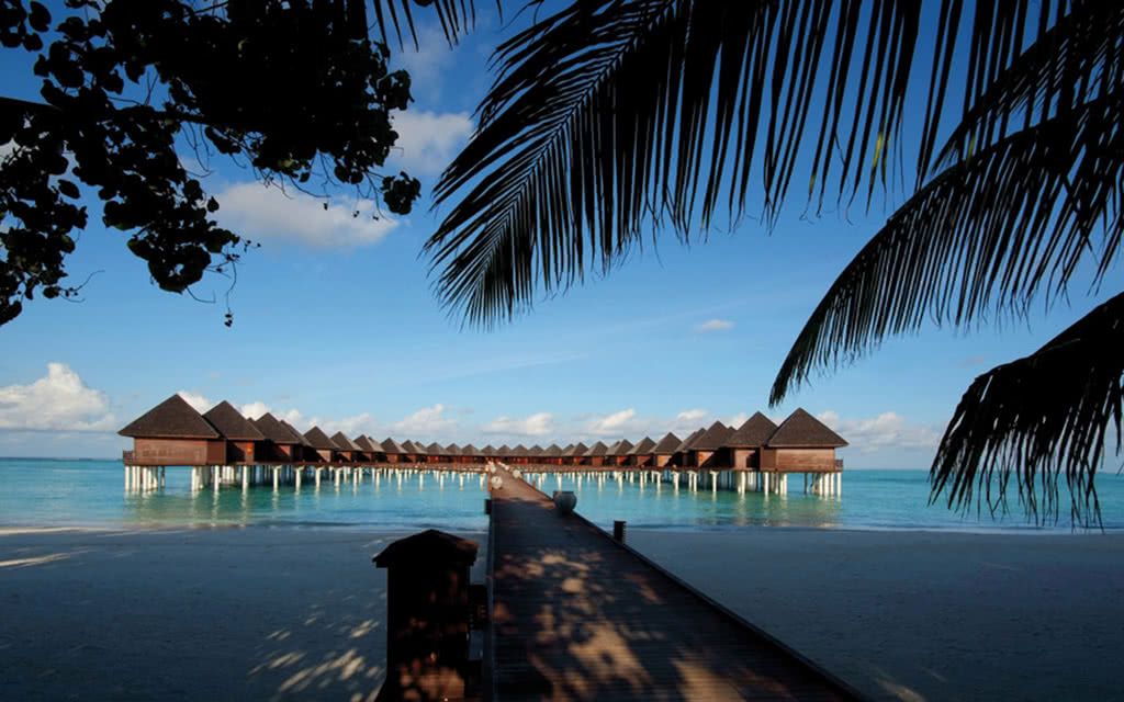 Hôtel Olhuveli Beach & Spa Resort 4* pas cher photo 5