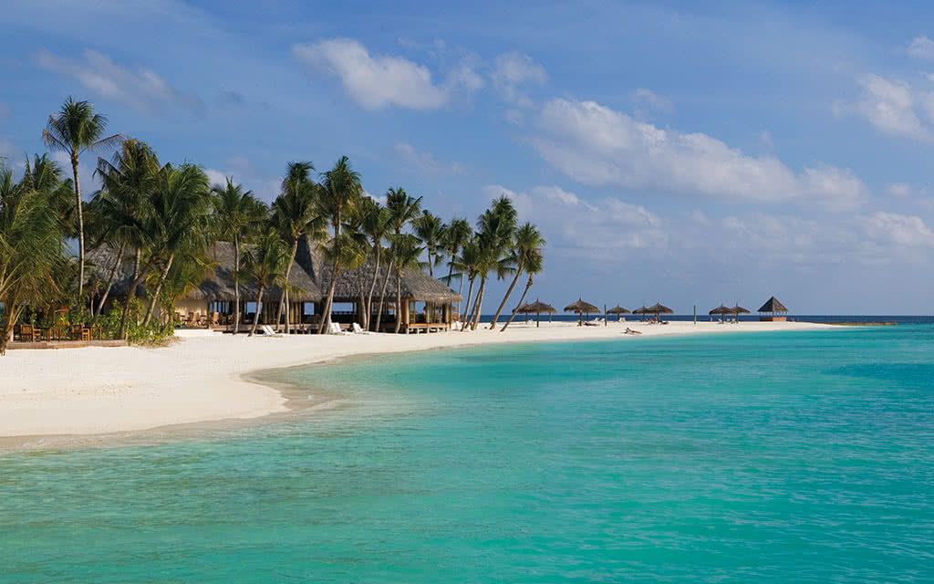 Hôtel Veligandu Island Resort & Spa 4* pas cher photo 5