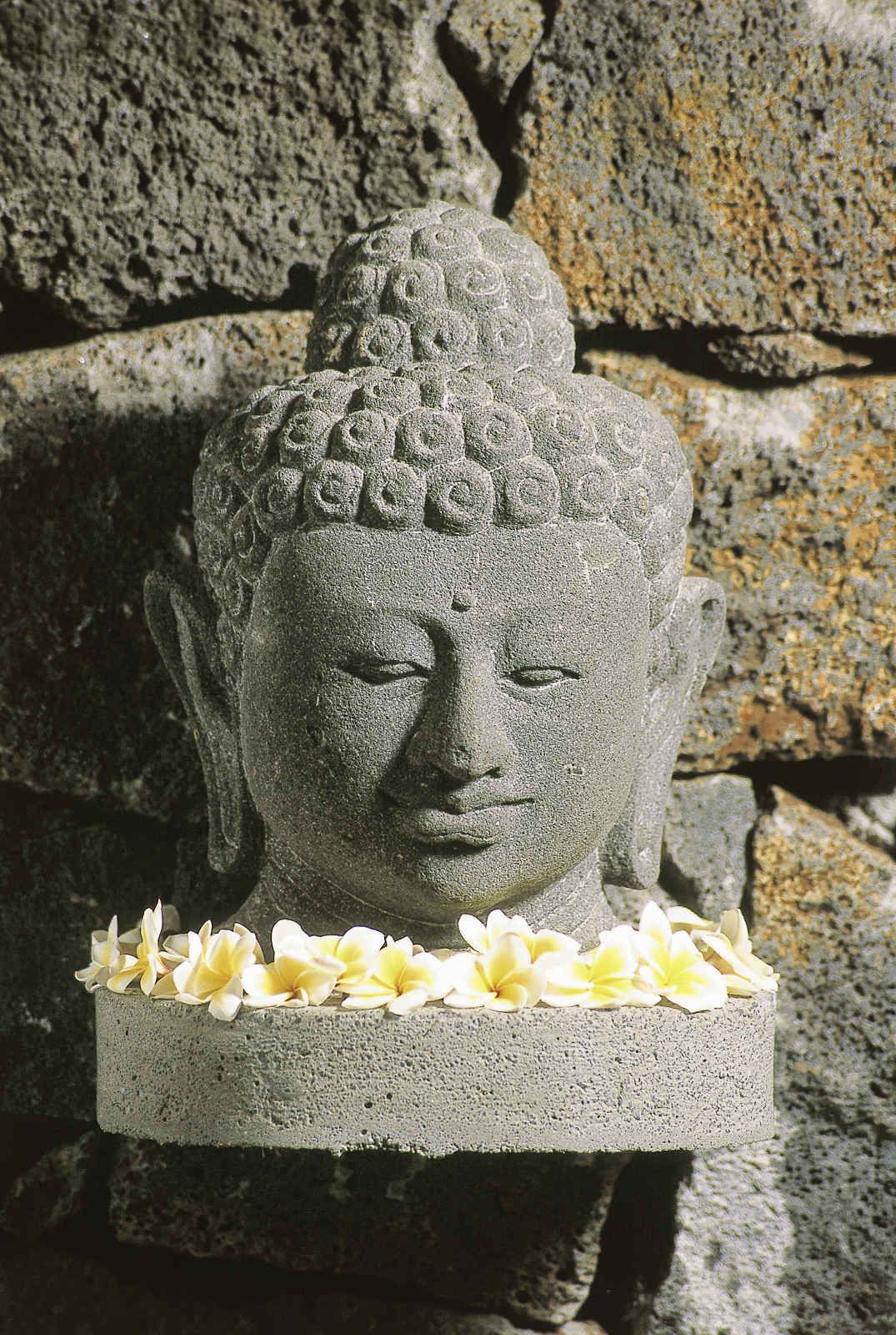 Constance Prince Maurice - 5.5* pas cher photo 2