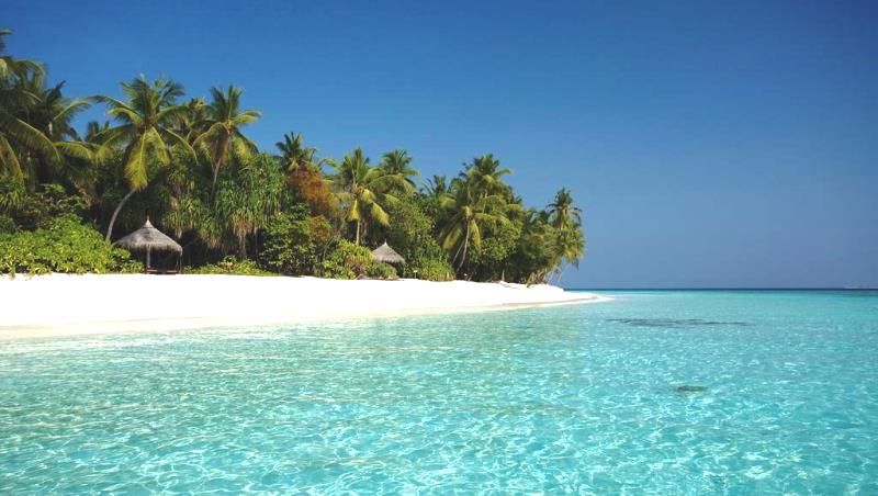 COCO PALM DHUNI KOLHU RESORT & SPA 4* Sup - 4* pas cher photo 3