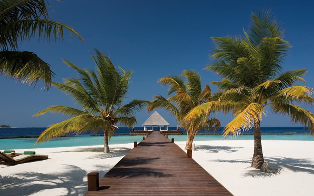 Hôtel Coco Bodu Hithi - Offre spéciale Noces 5* pas cher photo 3