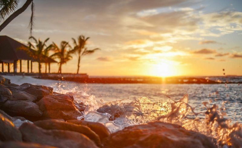 Palm Beach Island Resort & SPA 4* pas cher photo 8