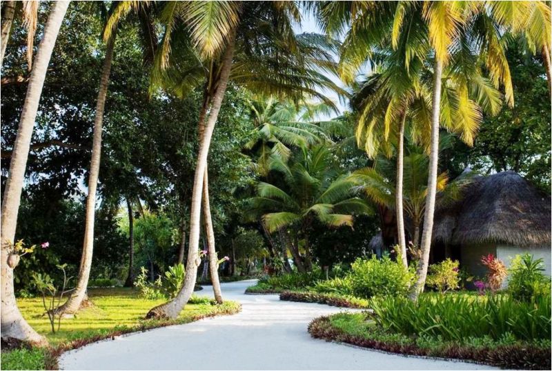 FURAVERI ISLAND RESORT & SPA 4* Sup pas cher photo 5