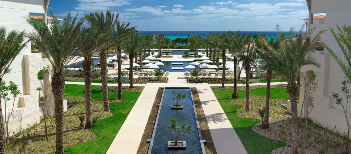 Unico 20°N 87° S pas cher photo 3