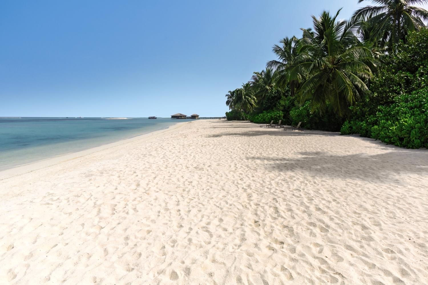 Cocoon Maldives - 5* pas cher photo 9