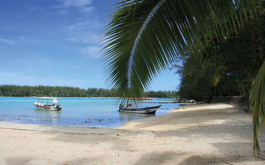 Semaine de rêve Tahiti & Moorea - Hôtel HIBISCUS pas cher photo 5