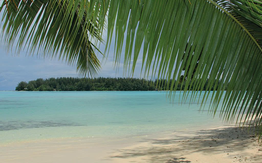 Semaine de rêve Tahiti & Moorea - Hôtel HIBISCUS pas cher photo 6