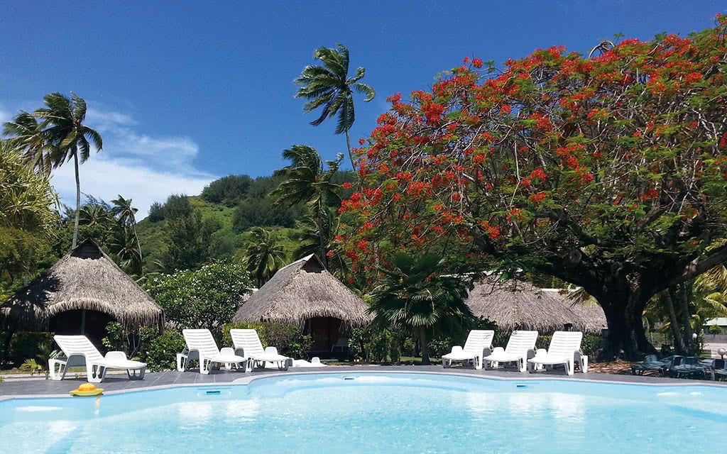 Semaine de rêve Tahiti & Moorea - Hôtel HIBISCUS pas cher photo 7