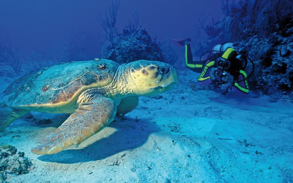 Hôtel Anse Chastanet Resort 4* pas cher photo 12