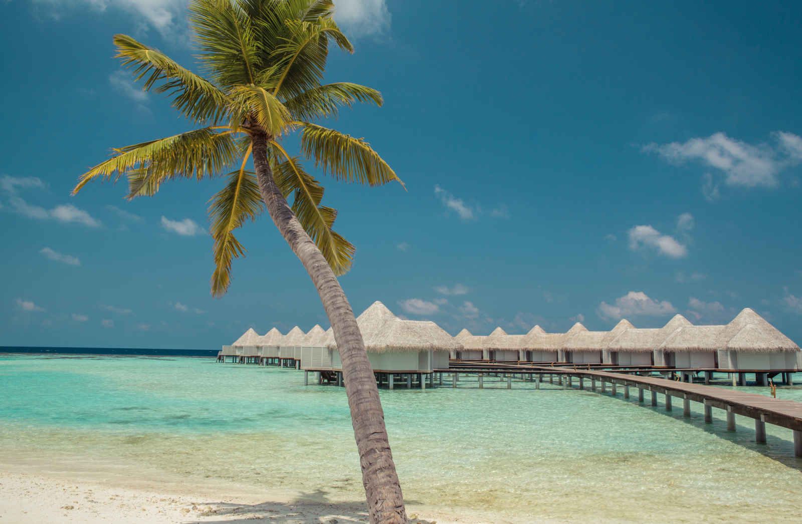 Drift Thelu Veliga Retreat Maldives - 4* pas cher photo 3