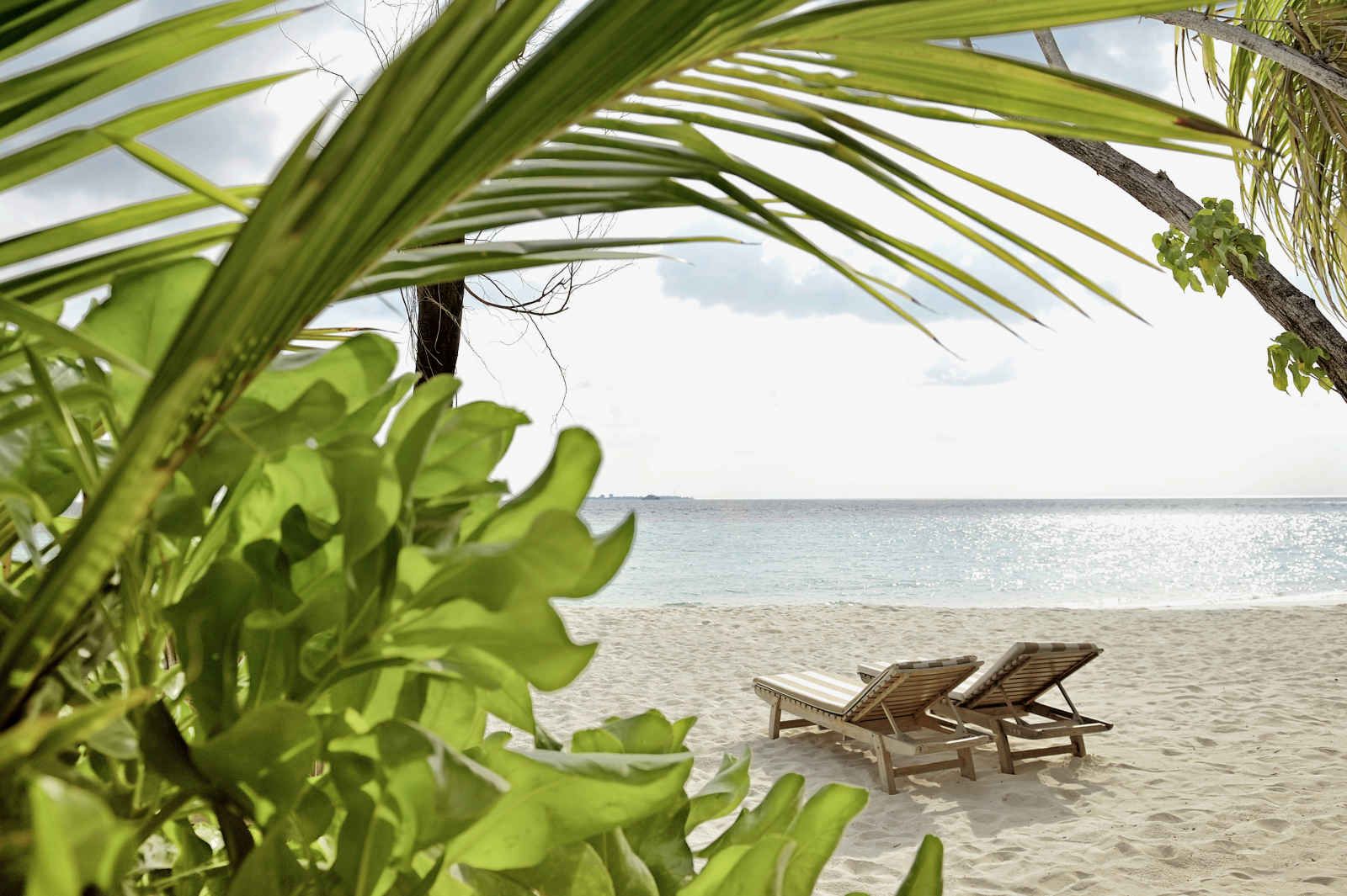 Maafushivaru Maldives - 4* pas cher photo 11