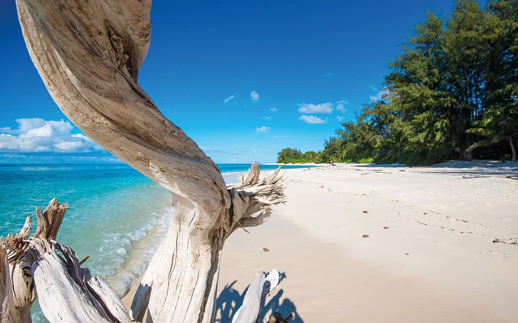 Hôtel Denis Private Island - Offre spéciale Noces 4* pas cher photo 8