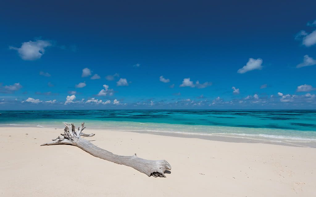 Hôtel Denis Private Island - Offre spéciale Noces 4* pas cher photo 9