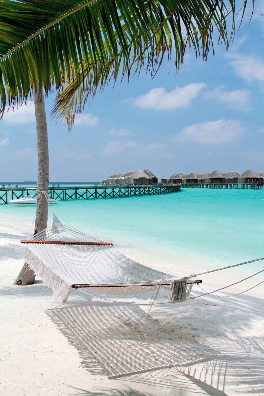 Constance Halaveli - 5.5* pas cher photo 9