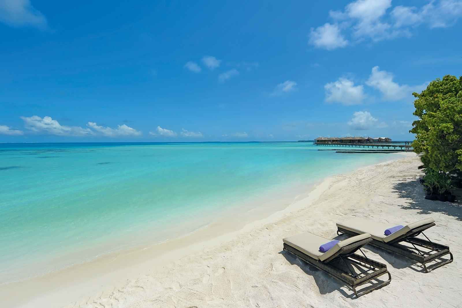 Constance Moofushi - 5* pas cher photo 4