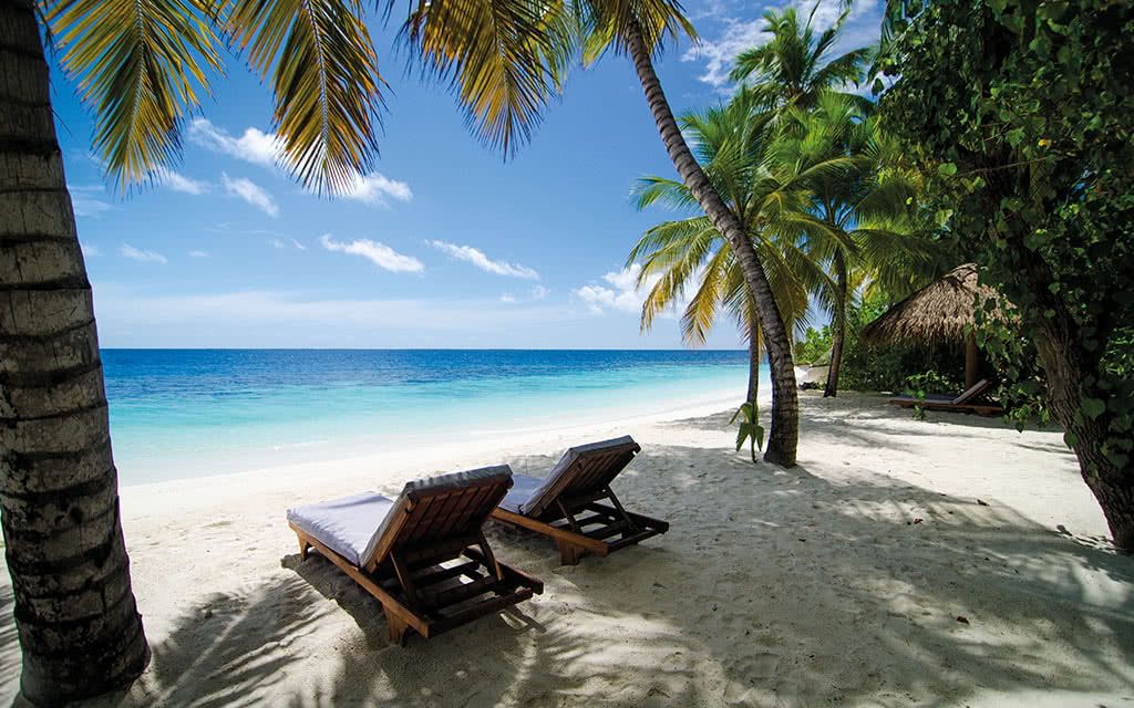 Mirihi Island Resort 5* pas cher photo 3
