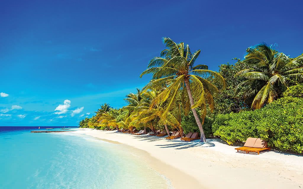 Hôtel Lily Beach Resort & Spa - Offre spéciale Noces 5* pas cher photo 2