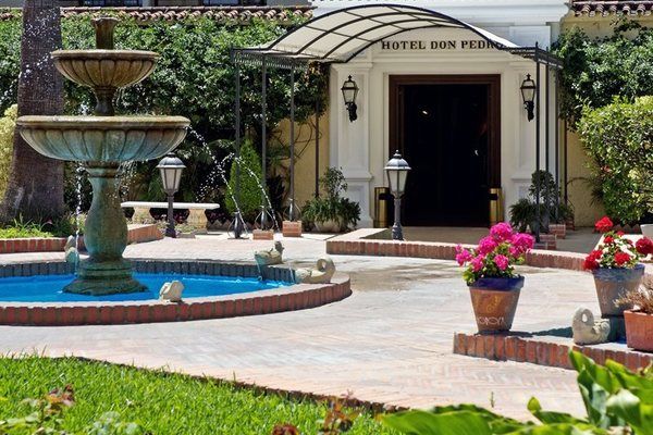 Sol Don Pedro 4* pas cher photo 6