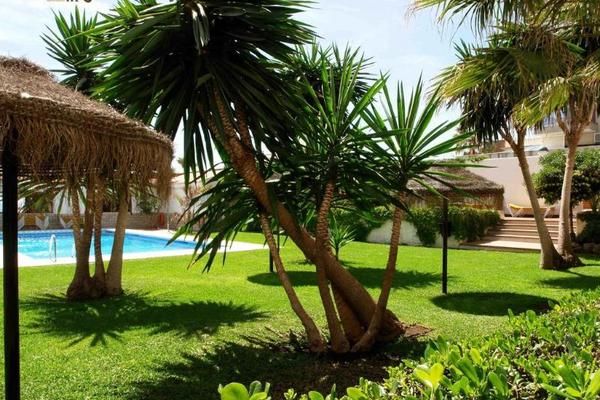 Tarik 3* pas cher photo 9