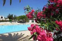 Casas Heddy 3* pas cher photo 4