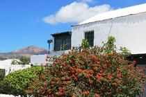 Casas Heddy 3* pas cher photo 10