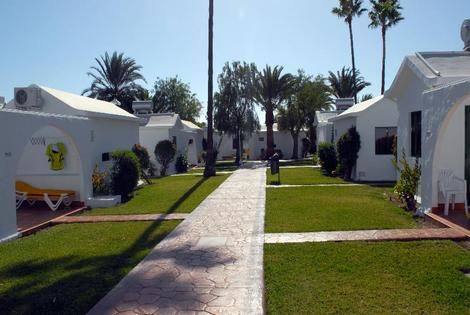 Canary Garden Club 3* pas cher photo 3