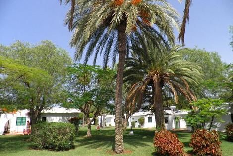 Canary Garden Club 3* pas cher photo 6