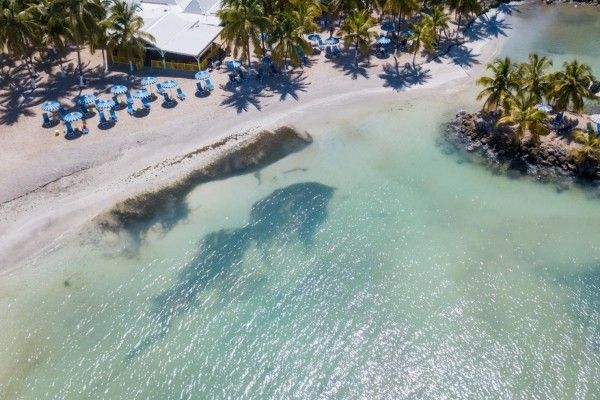 Hôtel Canella Beach 3* pas cher photo 1