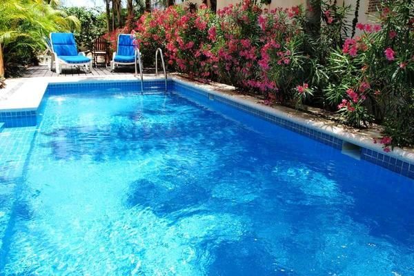 Las Golondrinas 3* pas cher photo 4