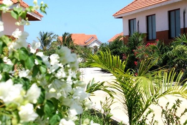 Hôtel Azao Resort & Spa 4* pas cher photo 9