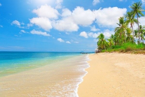 Centra By Centara Coconut Beach Resort Samui 3*Sup pas cher photo 3