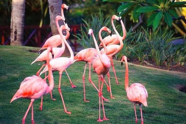Natura Park Eco resort & Spa 5* pas cher photo 7