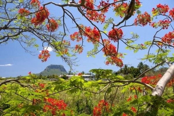 Sea Villa 2* pas cher photo 2