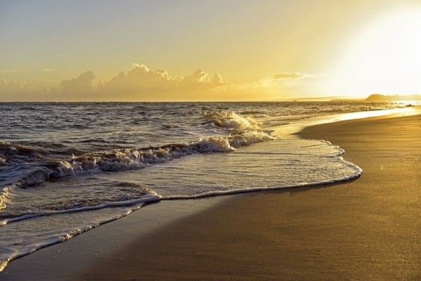 Iberostar Costa Dorada 5* pas cher photo 4