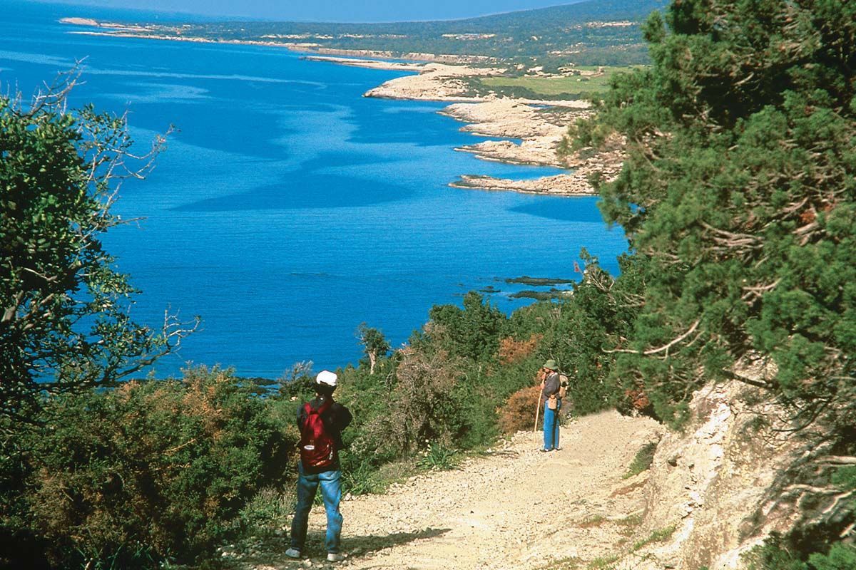 Aphrodite Beach 3* pas cher photo 10