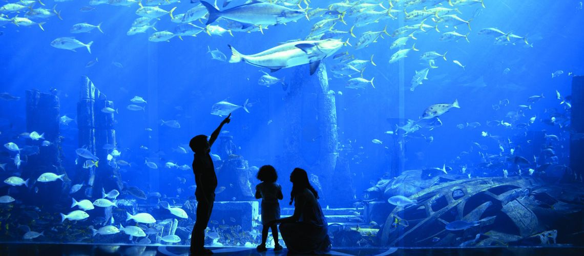 Atlantis The Palm 5* pas cher photo 11