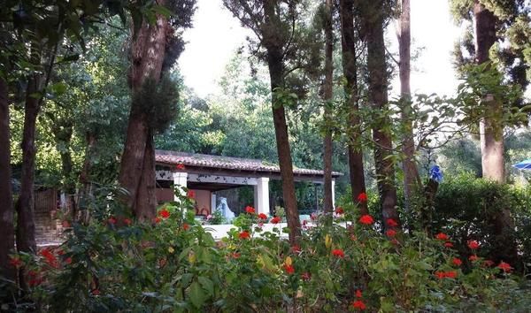 Ipsos Beach 3* pas cher photo 10