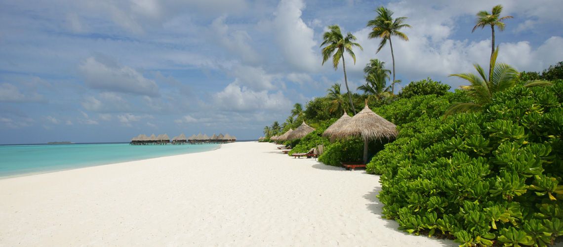 Coco Palm Dhuni Kolhu 4* pas cher photo 8