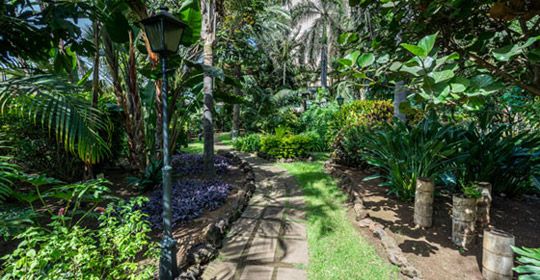 Blue Sea Costa Jardin & Spa - Iles Canaries pas cher photo 6