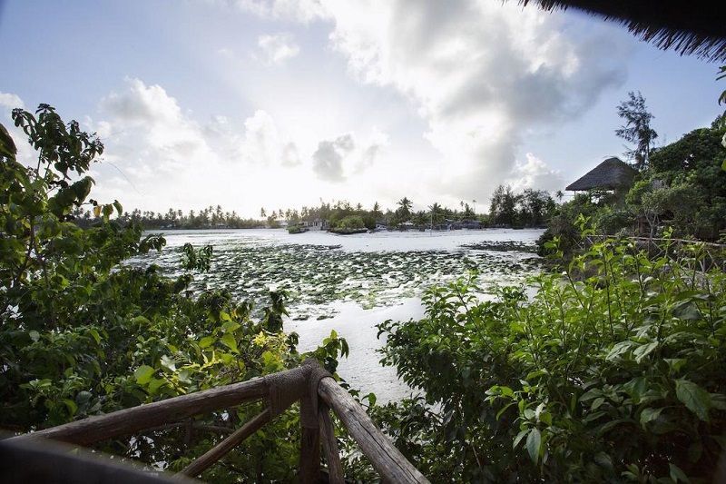 THE ISLAND PONGWE LODGE 4* pas cher photo 3